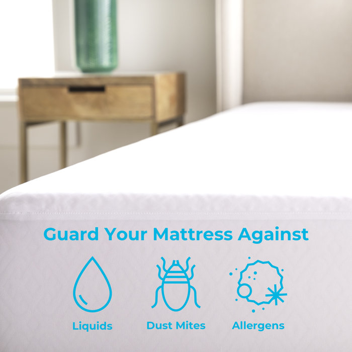 Wayfair Sleep™ Waterproof Fitted Mattress Protector & Reviews Wayfair